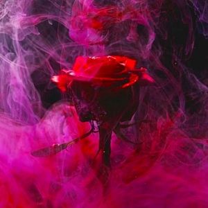 Meet your Posher, ☆M☆